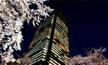 Tokyo Midtown Programs